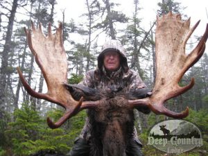 Eastern Canadian Moose - Deep Country Lodge