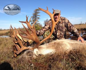 Tom - Boone and Crockett Trophy Woodland Caribou Deep Country Lodge