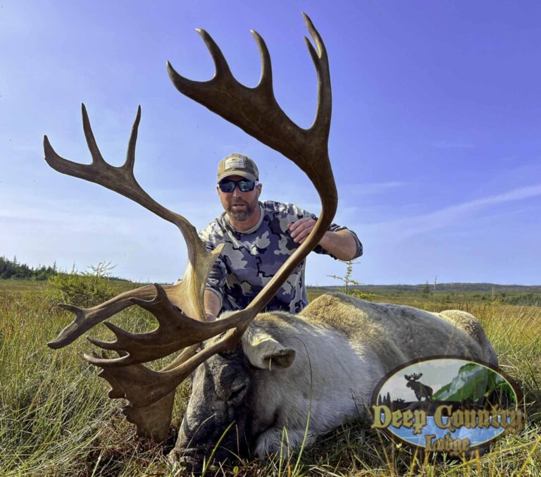 Deep Country Lodge - Woodland Caribou Hunting-58 - Deep Country Lodge | Big Game Hunting in Eastern & Central Newfoundland | Woodland Caribou, Moose & Black Bear Woodland Caribou, Newfoundland Canada, Deep Country Lodge