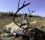 Deep Country Lodge Woodland Caribou Hunting 86 90x80