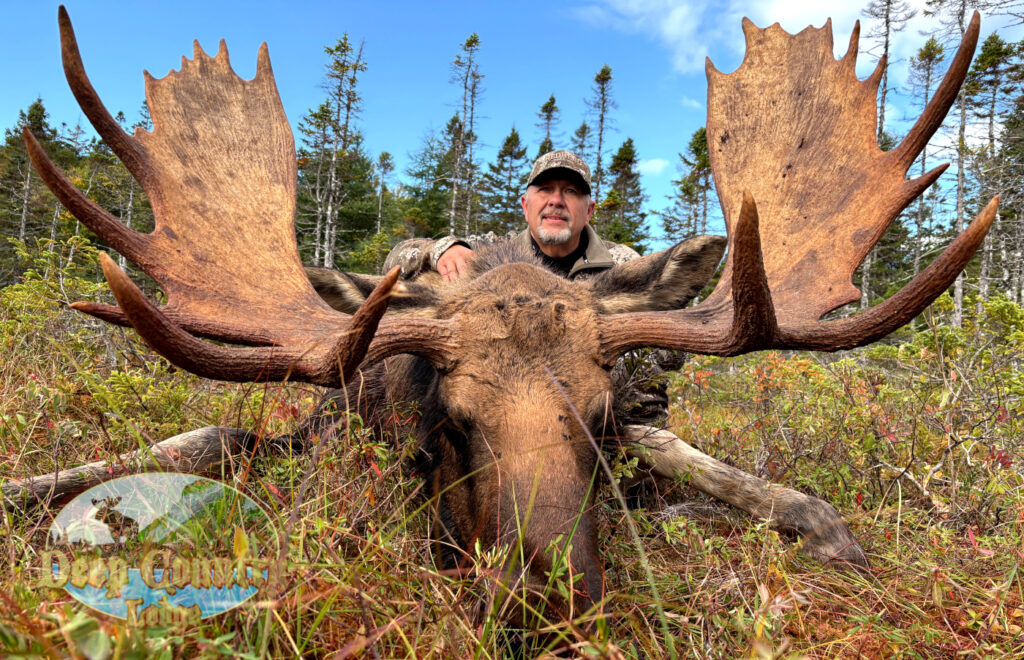 Moose