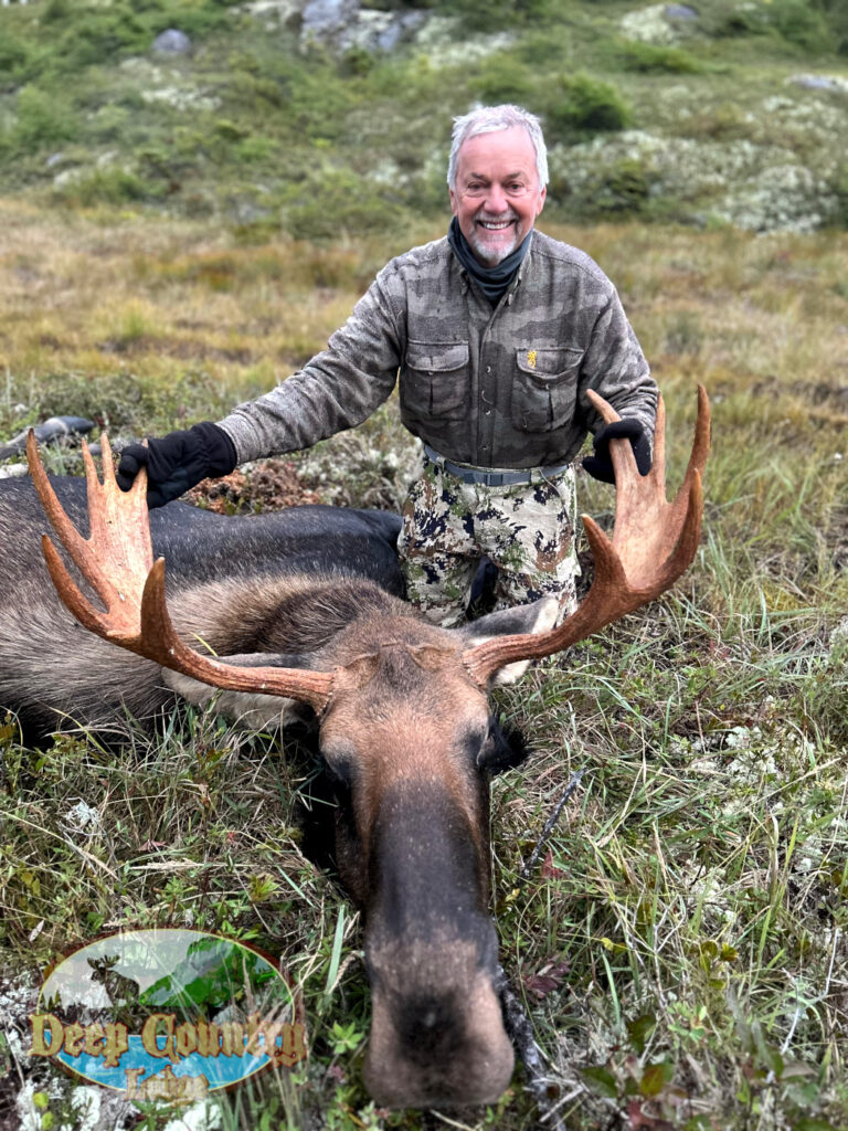 Moose