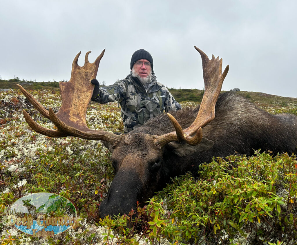 Moose