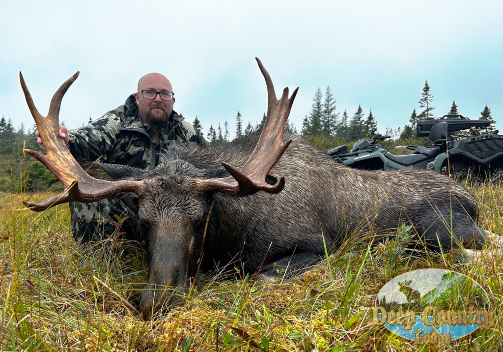 Moose
