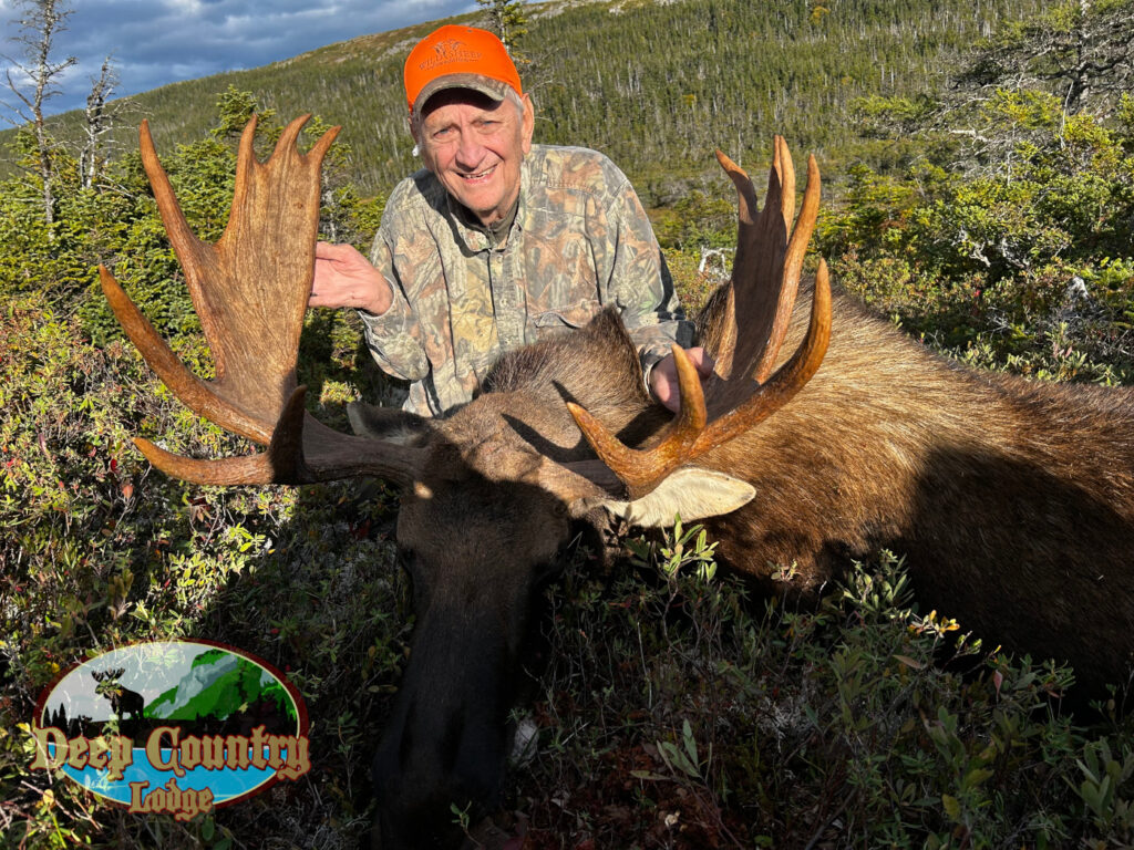 Moose