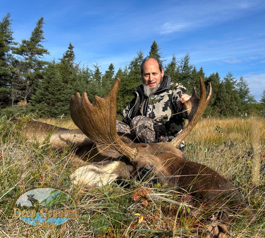 Moose