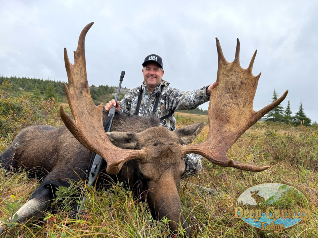 Moose
