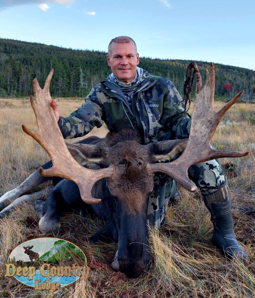 Moose