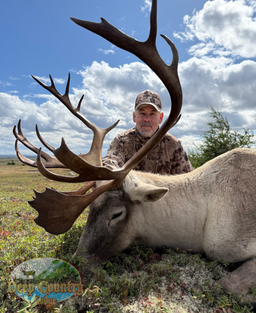 Woodland Caribou