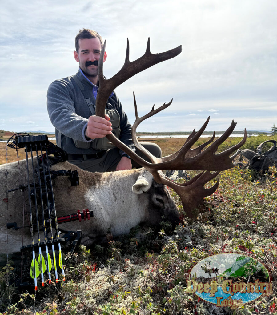 Woodland Caribou