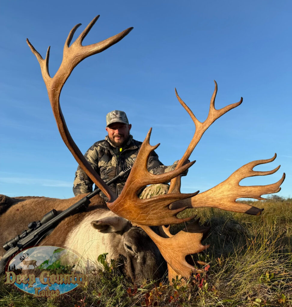 Woodland Caribou