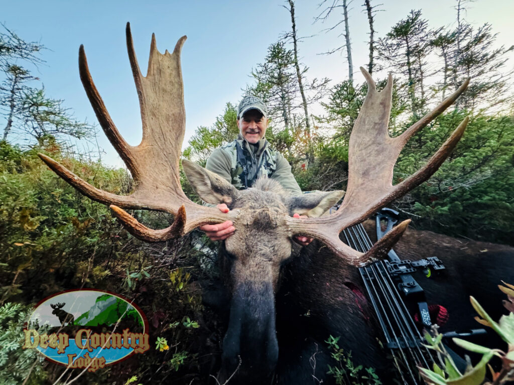 Moose