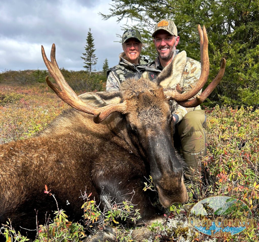 Moose