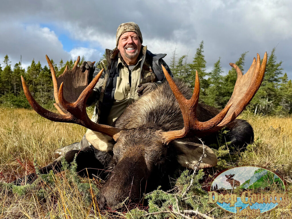 Moose