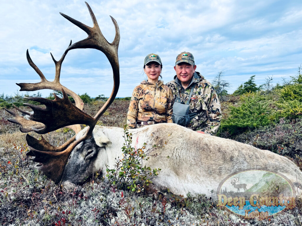 Woodland Caribou