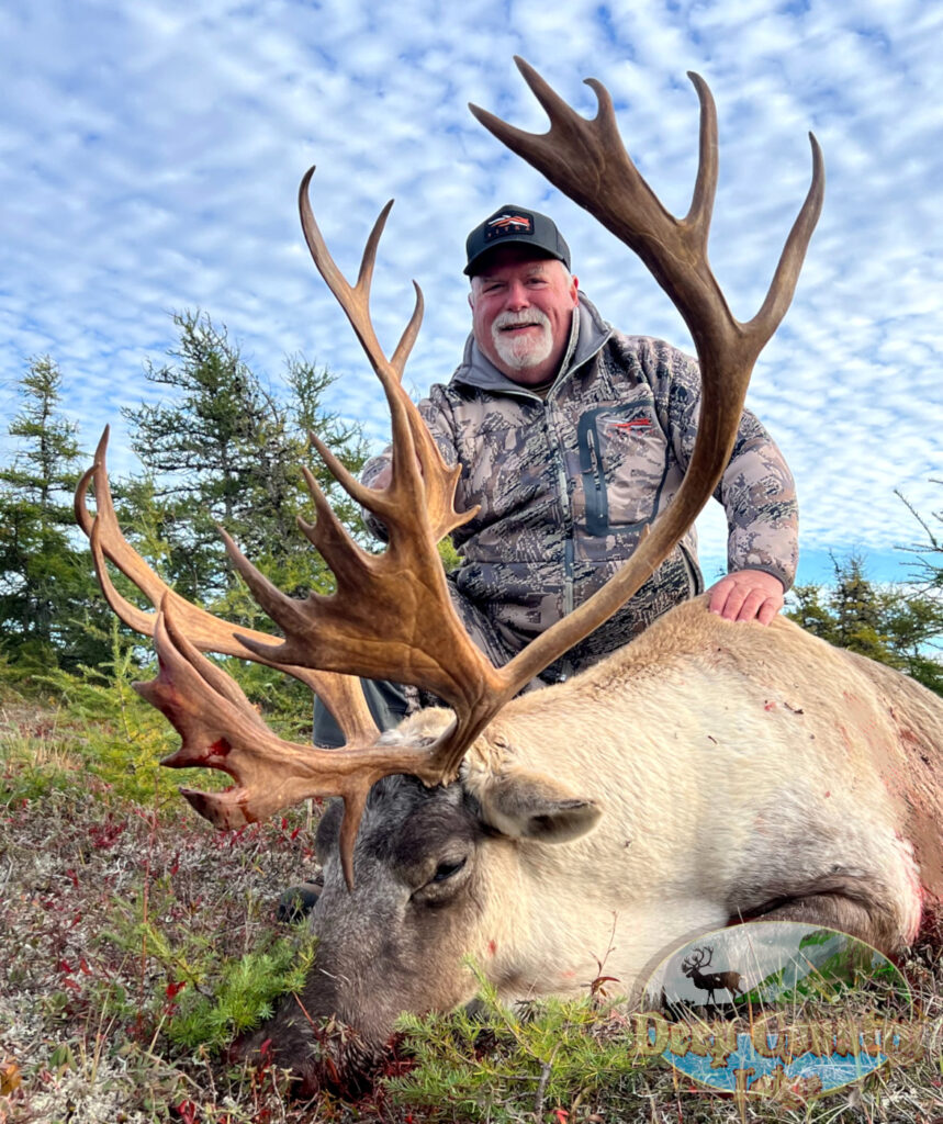 Woodland Caribou