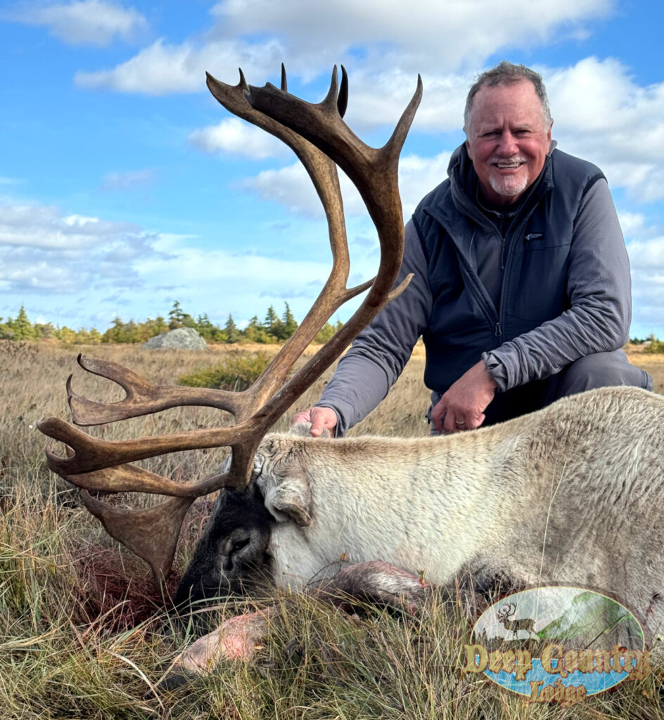 Woodland Caribou