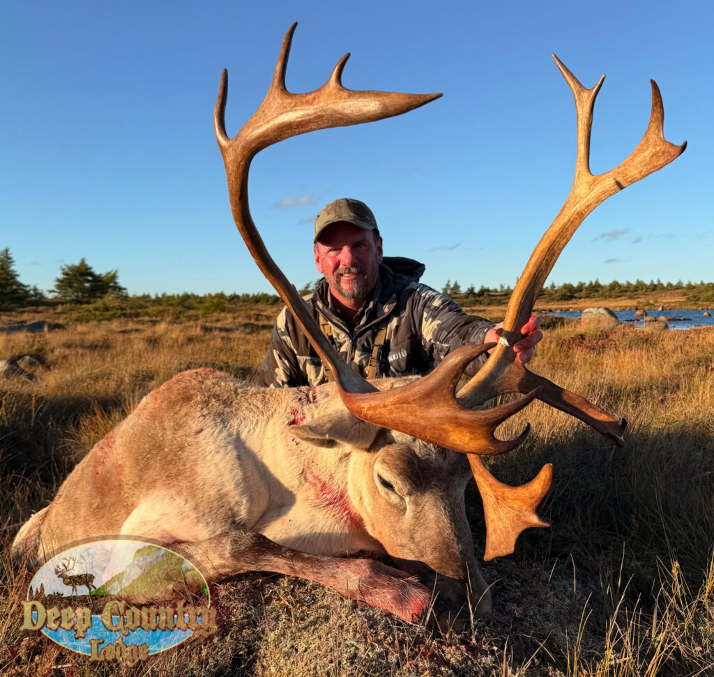 Woodland Caribou