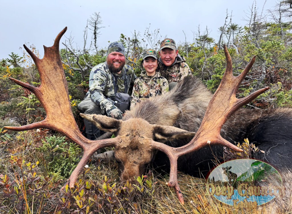 Moose