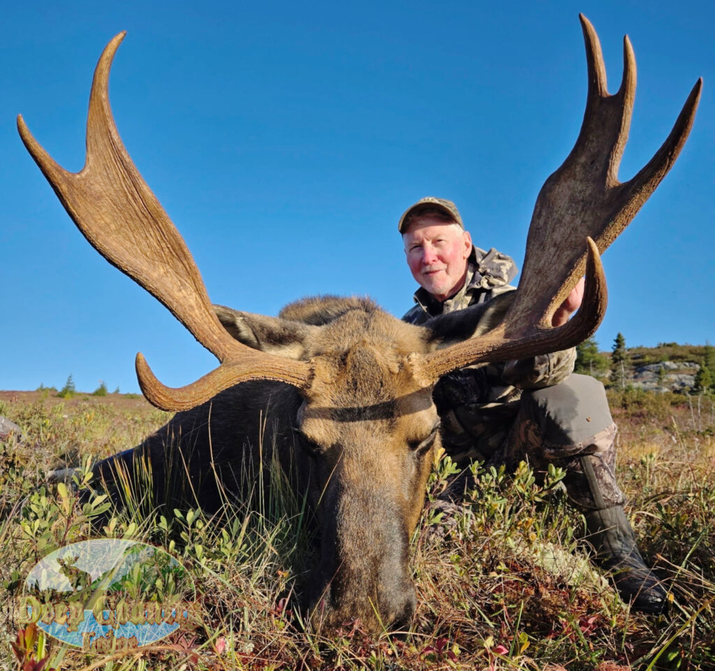 Moose