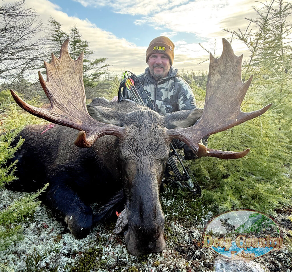 Moose