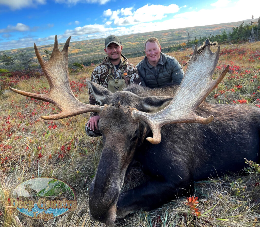 Moose