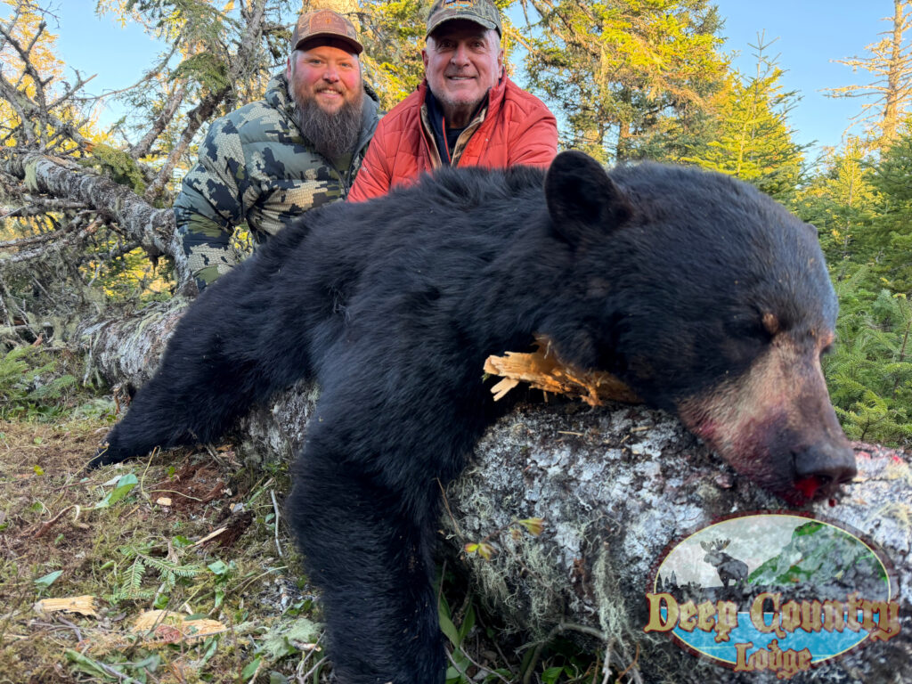 Spring Black Bear Hunting - Deep Country Lodge, Spring Black Bear Hunting - Deep Country Lodge, Canada